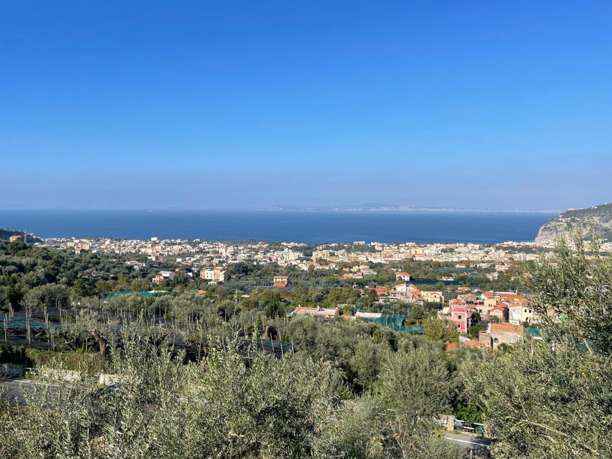Sky View Villa Piano di Sorrento Dış mekan fotoğraf