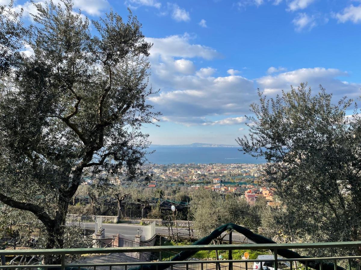Sky View Villa Piano di Sorrento Dış mekan fotoğraf